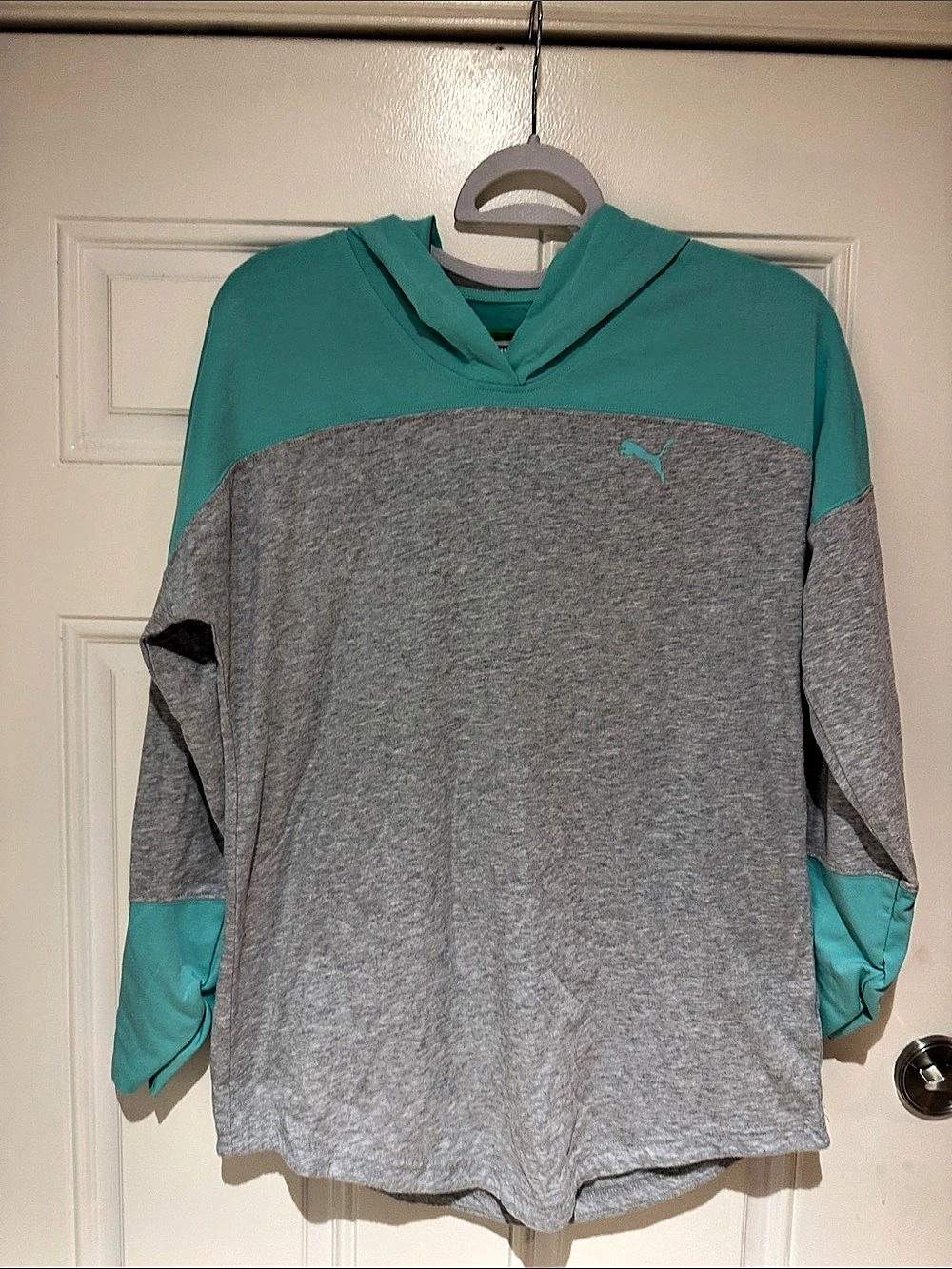Puma Color Block Pullover Hoodie
